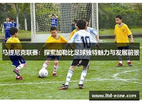 马提尼克联赛：探索加勒比足球独特魅力与发展前景
