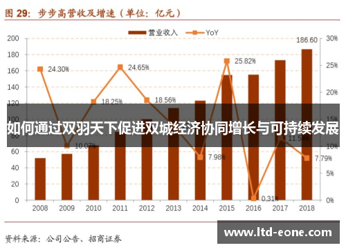 如何通过双羽天下促进双城经济协同增长与可持续发展