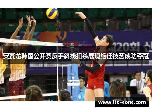 安赛龙韩国公开赛反手斜线扣杀展现绝佳技艺成功夺冠