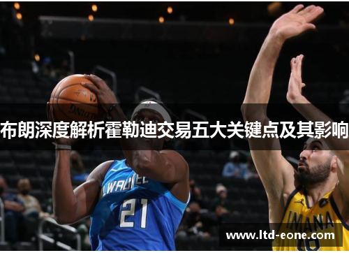 布朗深度解析霍勒迪交易五大关键点及其影响