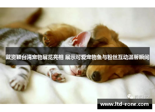 戴资颖台湾宠物展览亮相 展示可爱宠物鱼与粉丝互动温馨瞬间
